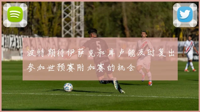 波特期待伊萨克和库卢能及时复出参加世预赛附加赛的机会