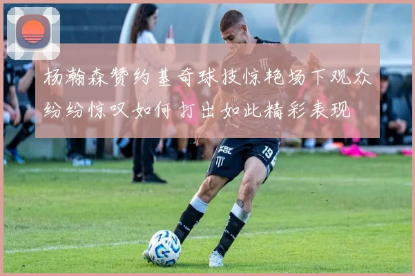 杨瀚森赞约基奇球技惊艳场下观众纷纷惊叹如何打出如此精彩表现