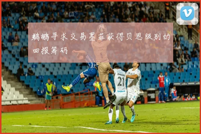 鹈鹕寻求交易墨菲获得贝恩级别的回报筹码